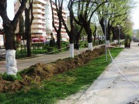 Târgoviște: Fără cabluri în Parcul Mitropoliei! Lucrări de reabilitare a iluminatului, spațiilor verzi, foișoarelor și locurilor de joacă
