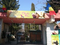 Grădina Zoologică Târgoviște: Animalele carnivore NU au fost hrănite cu câini comunitari!