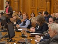 Oana Vlăducă (PSD Dâmbovița): Facilități noi pentru persoanele cu handicap și familiile acestora (detalii)