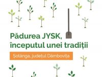 Prima „pădure JYSK” prinde rădăcini la Șotânga, pe 18 noiembrie! Vor fi plantați 20.000 de puieți de plop alb (detalii)