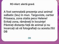 Alertă gravă: A fost semnalată prezența unui leu în Târgoviște, intrarea dinspre Priseaca (RO-Alert)