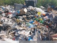GARDA NAȚIONALĂ DE MEDIU: Acțiune la Sintești (Ilfov), privind colectarea și transporturile ilegale de deșeuri / foto