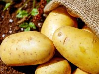 Deputat Marian Țachianu: Producția de cartof va fi susținută în anul 2023 prin acordarea unui sprijin din partea statului