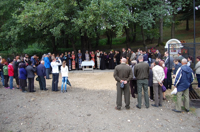 safta - sturzeni (4)