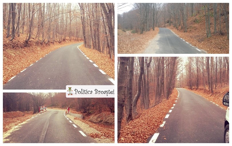 watermarked-candesti - valea mare