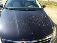 Acțiuni de intimidare la Răzvad: Mașina liderului TSD a fost vandalizată! Plângere penală la IPJ Dâmbovița și IGPR!