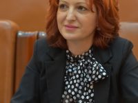 Oana Vlăducă (PSD Dâmbovița): Astăzi avem mai multe persoane active în economie decât în urmă cu 10 ani! (comentariu)