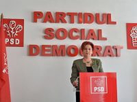 Carmen Holban, deputat PSD Dâmbovița, reacție la scrisoarea către Liviu Dragnea