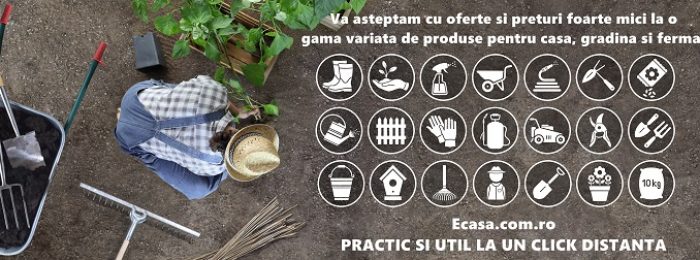 man work in the vegetable garden place a plant in the ground, icons and symbols of gardening equipment, top view